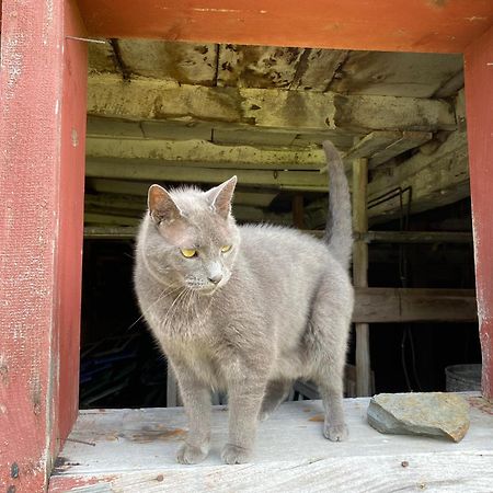 Bloom Farm Guesthouse Mount Vision Dış mekan fotoğraf