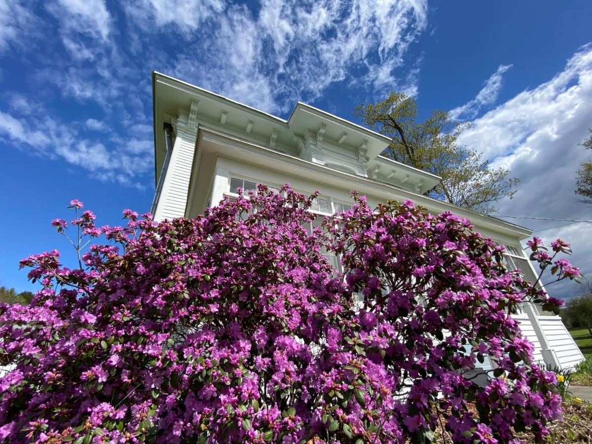 Bloom Farm Guesthouse Mount Vision Dış mekan fotoğraf