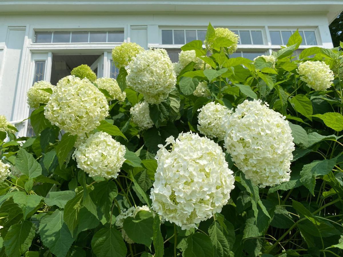 Bloom Farm Guesthouse Mount Vision Dış mekan fotoğraf